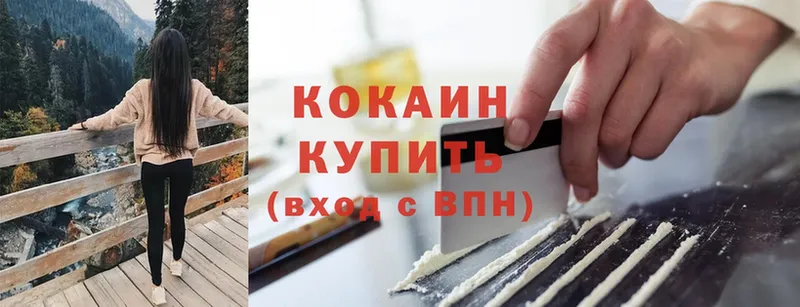 купить наркотик  Карабулак  COCAIN Fish Scale 